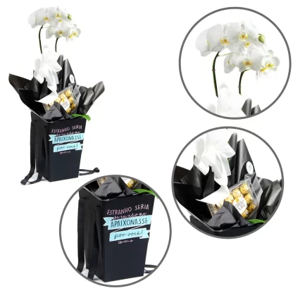 orquídea palaenopsis marcelo almeida ferrero rocher franca