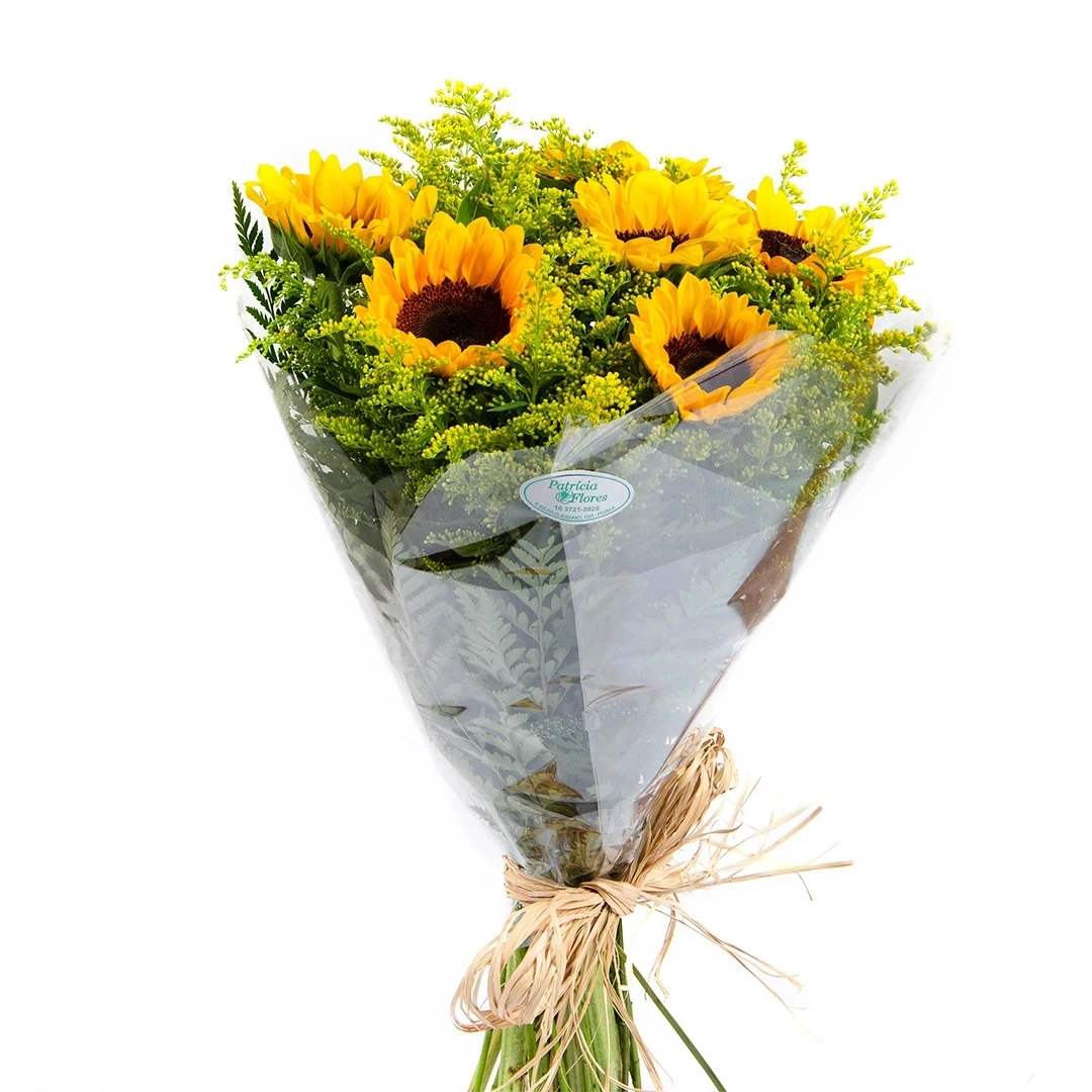 girassol-buque-luxo-1